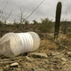 Illustration for article titled Four Volunteers Convicted for Leaving Food and Water Near Border as Four More Await Trial